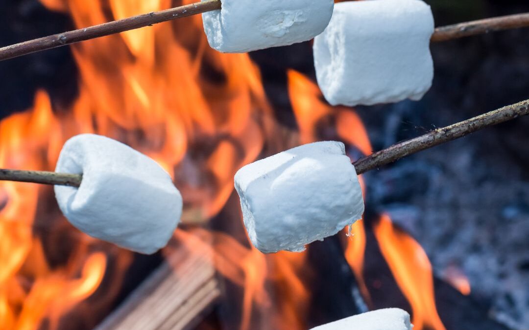 Bålhygge i vinterferien