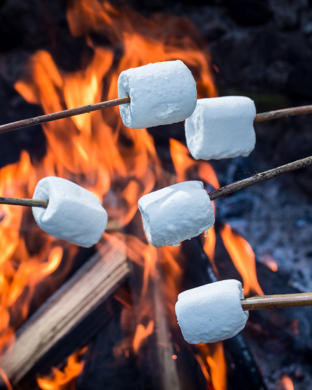 Marshmallows